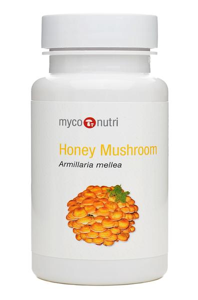 MycoNutri Honey Mushroom 60's - Dennis the Chemist