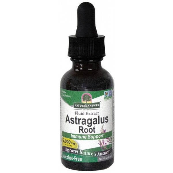 Nature's Answer Astragalus Root (Alcohol Free) 30ml - Dennis the Chemist