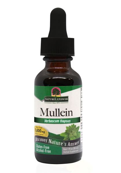 Nature's Answer Mullein Leaf (Alcohol Free) 30ml - Dennis the Chemist