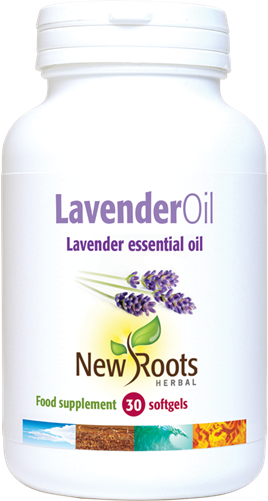 New Roots Herbal Lavender Oil bottles, 30-pack, with lavender flowers and essential oil labels on clear glass bottles.