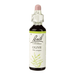 Bach Flower Remedies Olive 20ml - Dennis the Chemist