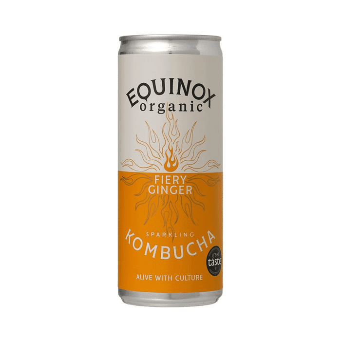Equinox Kombucha Organic Fiery Ginger Sparkling Kombucha 250ml SINGLE CAN