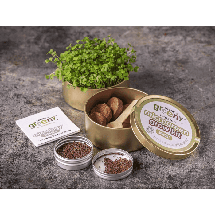 Teeny Greeny Organic Microgreen Grow Kit (Broccoli)