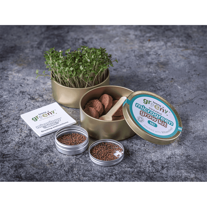 Teeny Greeny Organic Microgreen Grow Kit (Kale)