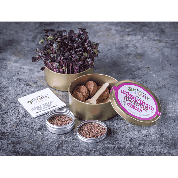 Teeny Greeny Organic Microgreen Grow Kit (Purple Radish)
