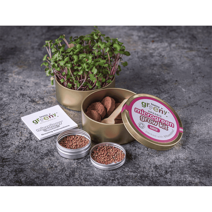 Teeny Greeny Organic Microgreen Grow Kit (Radish)