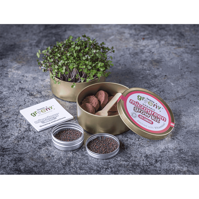 Teeny Greeny Organic Microgreen Grow Kit (Red Cabbage)