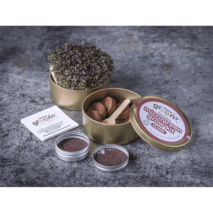 Teeny Greeny Organic Microgreen Grow Kit (Red Mizuna)