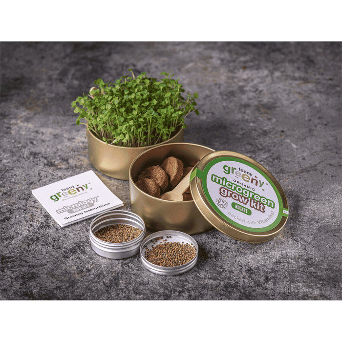 Teeny Greeny Organic Microgreen Grow Kit (Rocket)