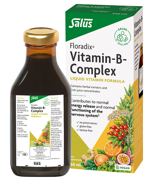 Salus Floradix Vitamin-B Complex Liquid Vitamin Formula 250ml - Dennis the Chemist