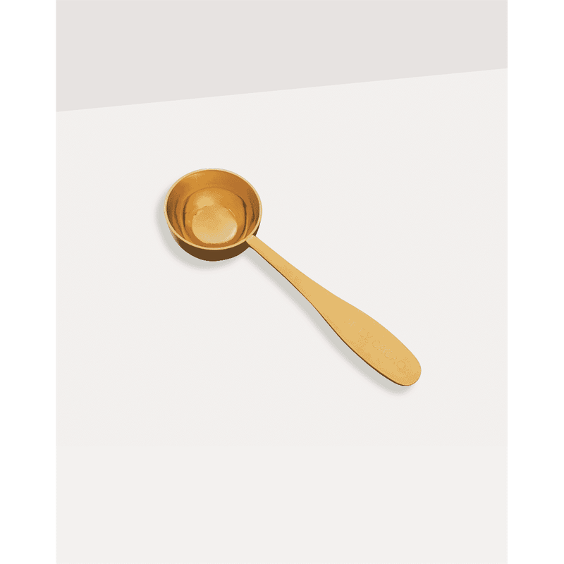 Scoop