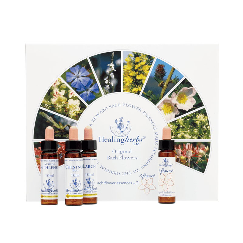 Healing Herbs Ltd Set of Full 40 10ml Bottles