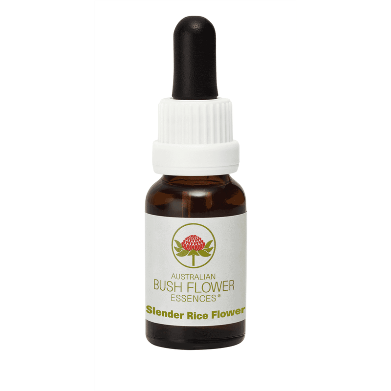 Australian Bush Flower Essences Slender Rice Flower (Stock Bottle) 15ml