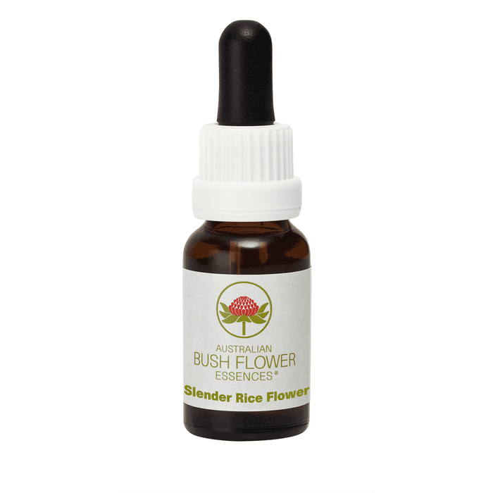 Australian Bush Flower Essences Slender Rice Flower (Stock Bottle) 15ml