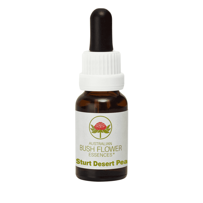 Australian Bush Flower Essences Sturt Desert Pea (Stock Bottle) 15ml - Dennis the Chemist