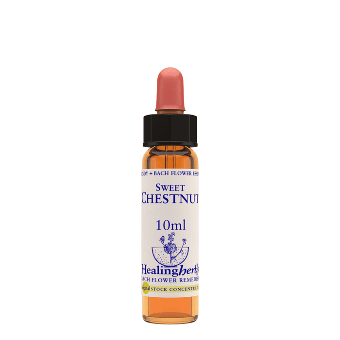 Healing Herbs Ltd Sweet Chestnut 10ml