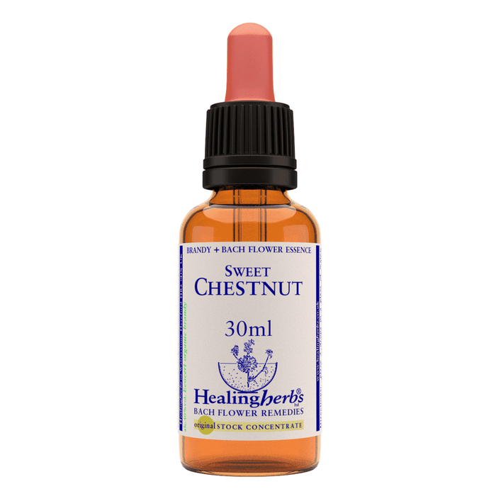 Healing Herbs Ltd Sweet Chestnut 30ml