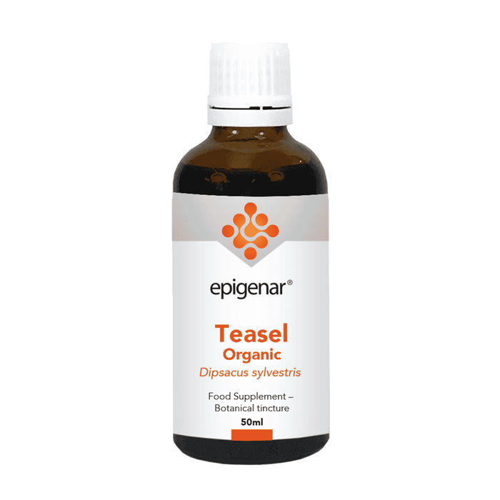 Epigenar Teasel Organic 50ml