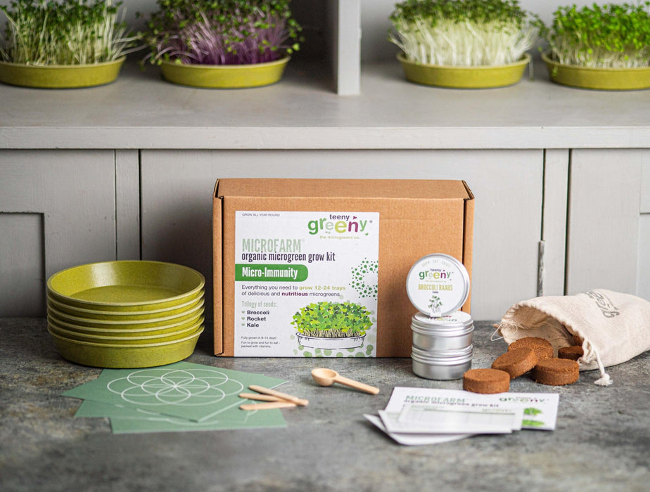 Teeny Greeny Microfarm Organic Microgreen Grow Kit 'Micro-Immunity' (Broccoli, Rocket, Kale) - Dennis the Chemist