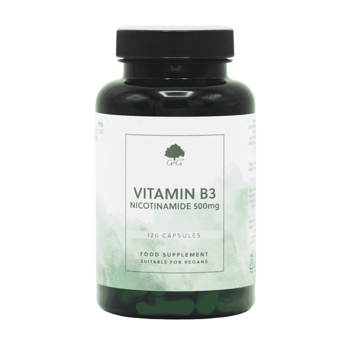 G&G Vitamins Vitamin B3 Nicotinamide 500mg 120s