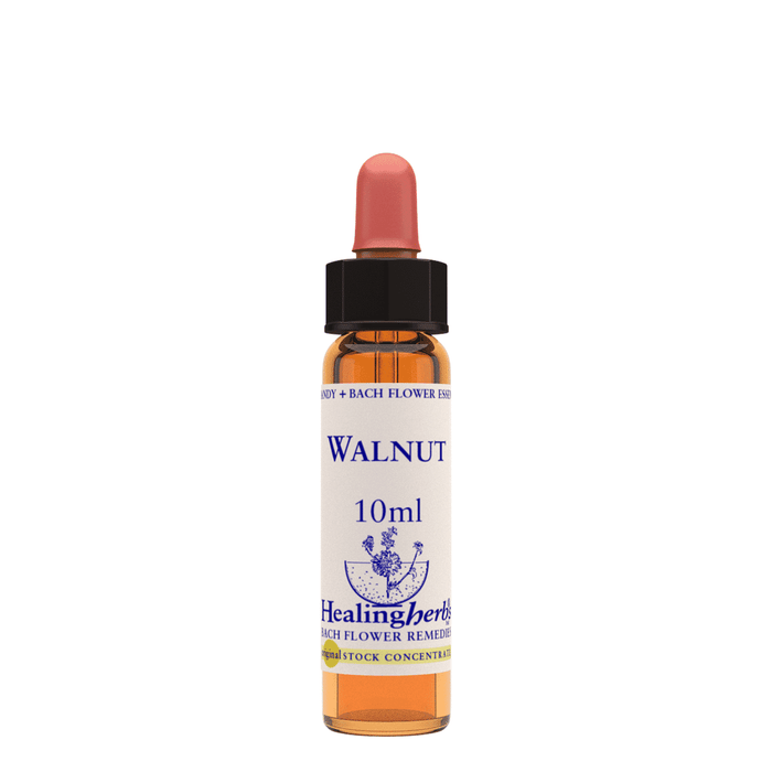 Healing Herbs Ltd Walnut 10ml