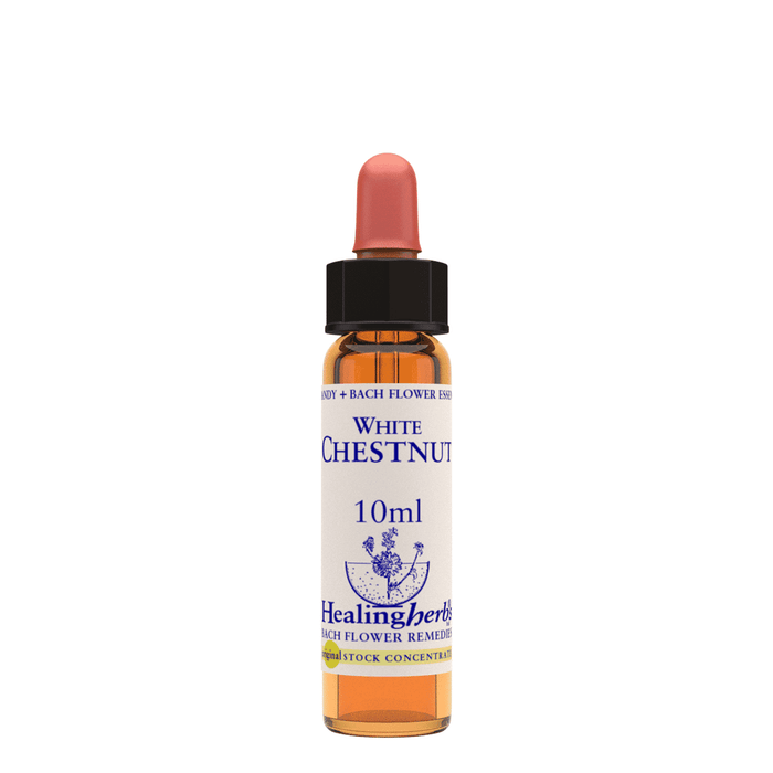 Healing Herbs Ltd White Chestnut 10ml