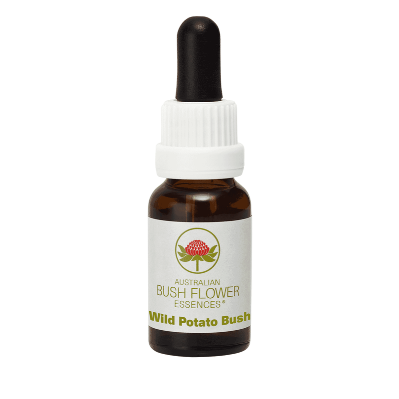 Australian Bush Flower Essences Wild Potato Bush (Stock Bottle) 15ml