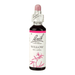 Bach Flower Remedies Willow 20ml - Dennis the Chemist