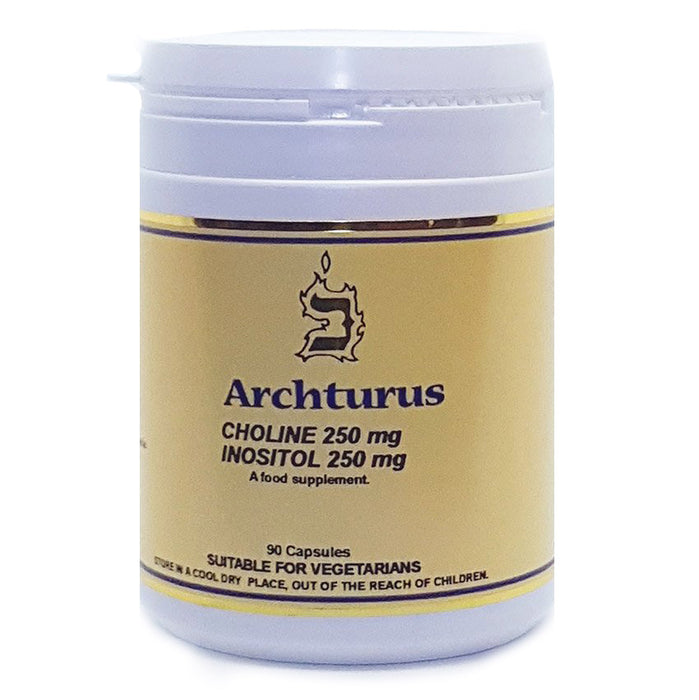 Archturus Choline 250mg & Inositol 250mg 90's - Dennis the Chemist