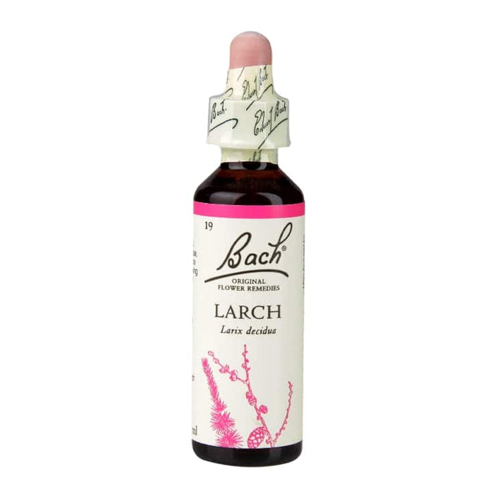 Bach Flower Remedies Larch 20ml - Dennis the Chemist