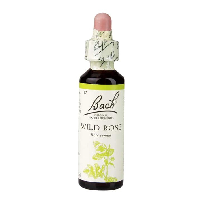 Bach Flower Remedies Wild Rose 20ml - Dennis the Chemist