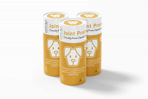 Efficaci Joint Protect (for dogs) 90's - Dennis the Chemist