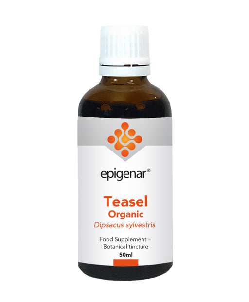 Epigenar Teasel Organic (Tincture) 50ml - Dennis the Chemist