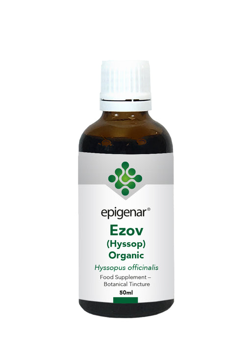 Epigenar Ezov (Hyssop) Organic Tincture 50ml - Dennis the Chemist