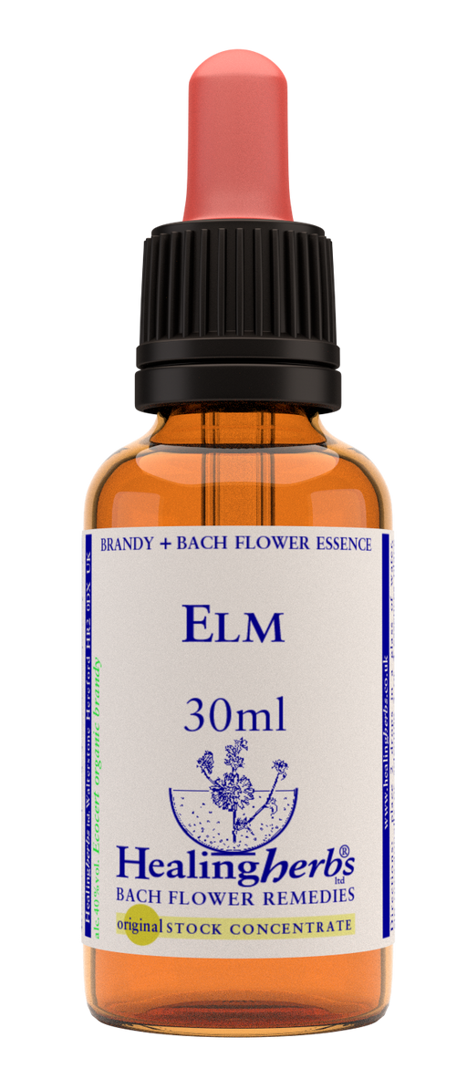 Healing Herbs Ltd Elm 30ml - Dennis the Chemist