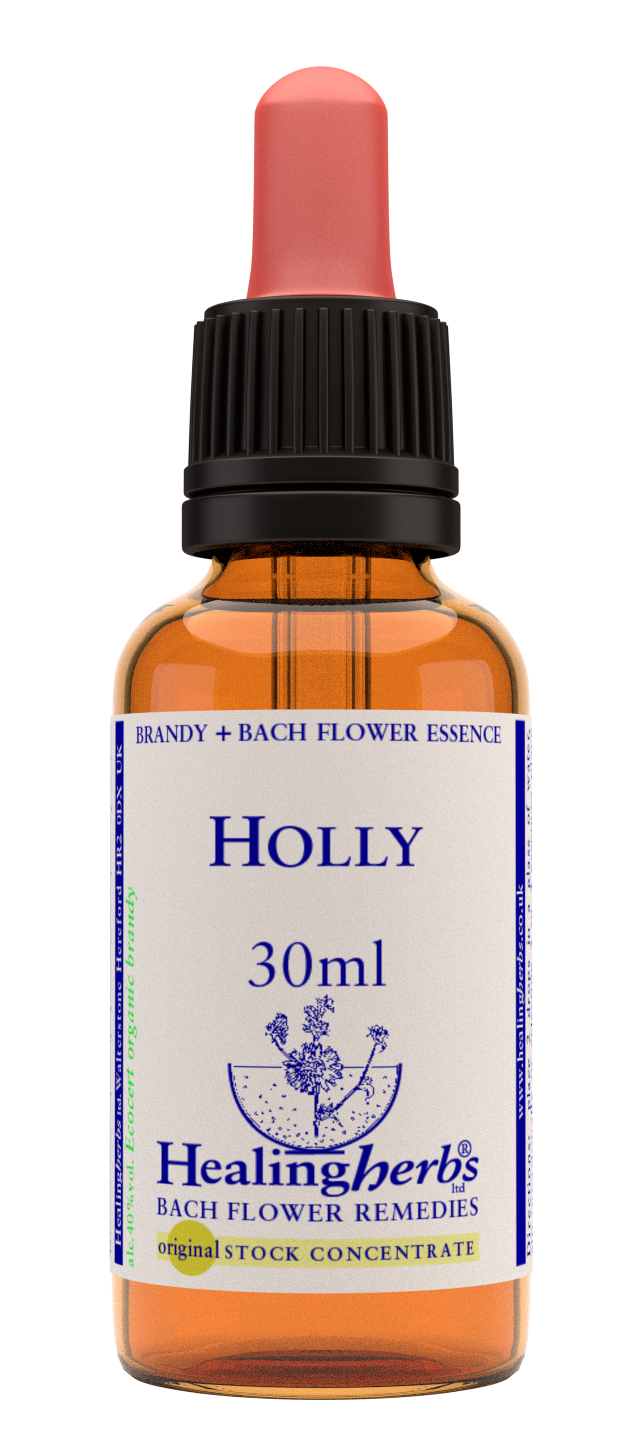 Holly 30ml - Dennis the Chemist