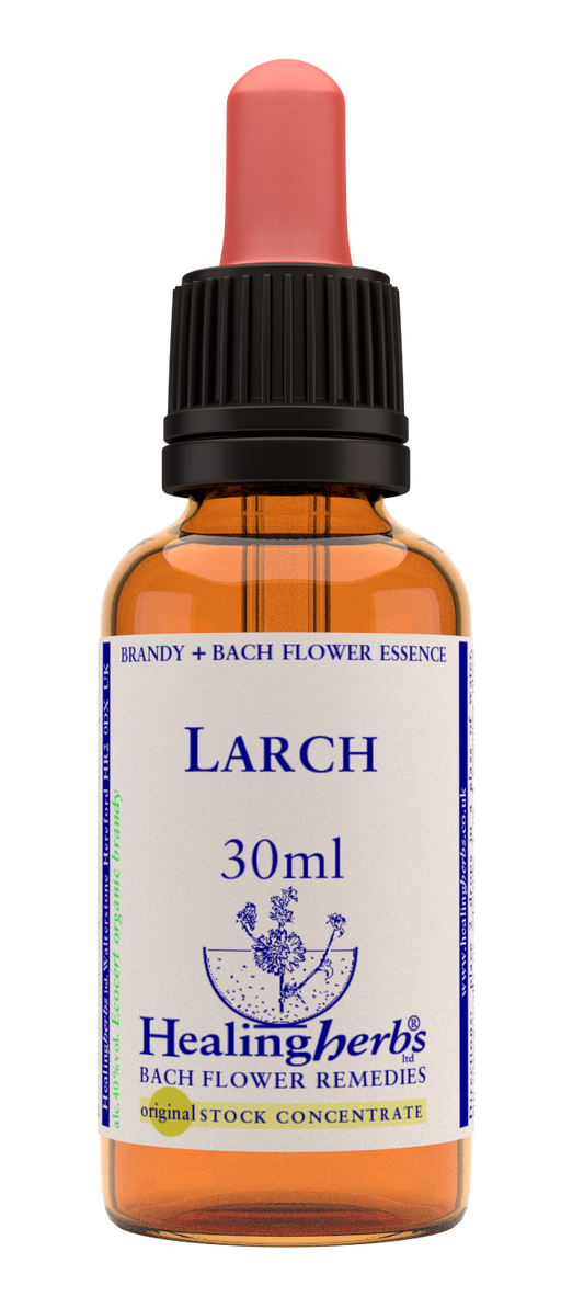 Healing Herbs Ltd Larch 30ml - Dennis the Chemist