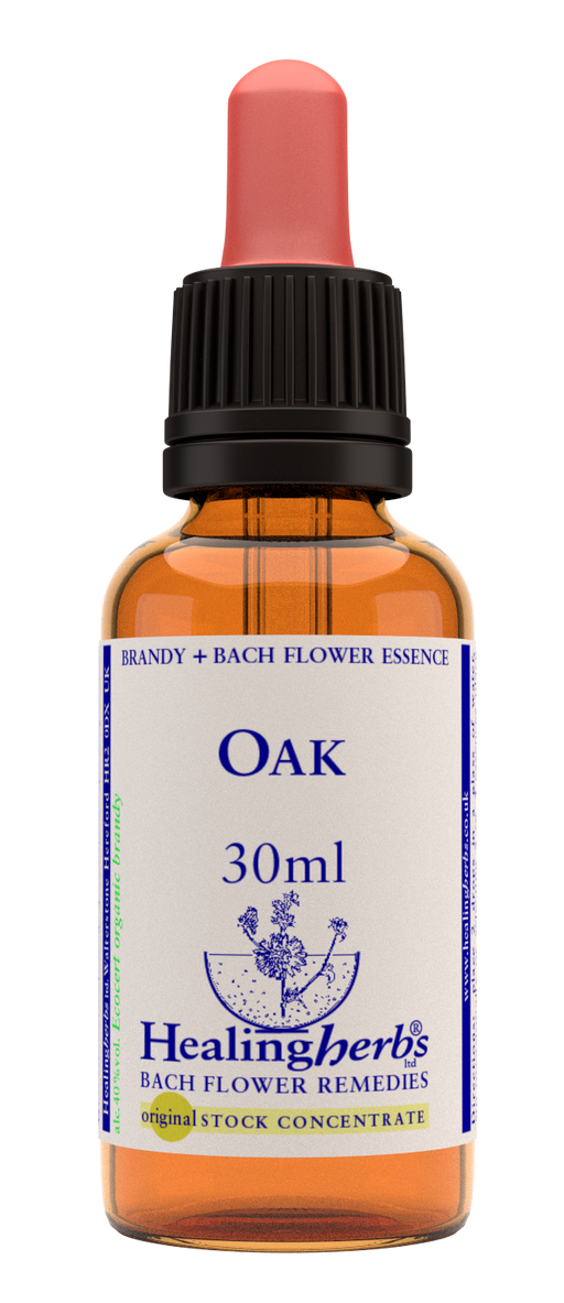 Healing Herbs Ltd Oak 30ml - Dennis the Chemist
