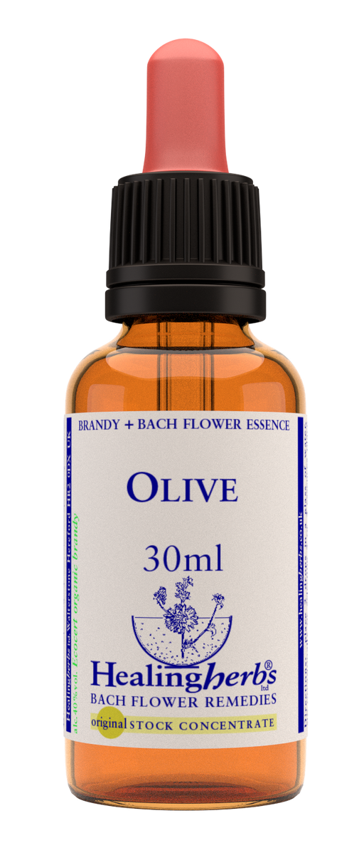 Healing Herbs Ltd Olive 30ml - Dennis the Chemist