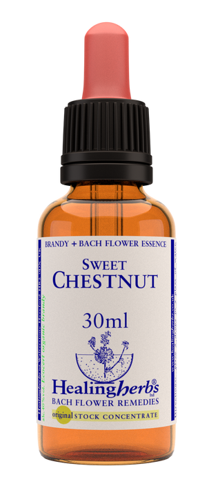 Healing Herbs Ltd Sweet Chestnut 30ml - Dennis the Chemist