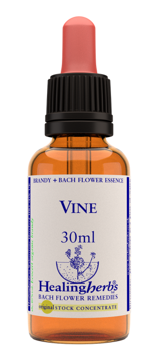 Healing Herbs Ltd Vine 30ml - Dennis the Chemist