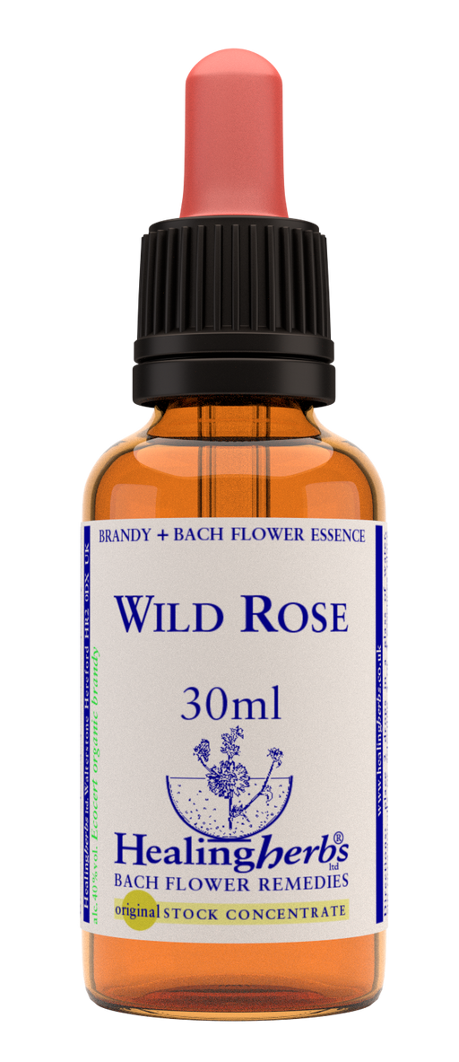 Healing Herbs Ltd Wild Rose 30ml - Dennis the Chemist
