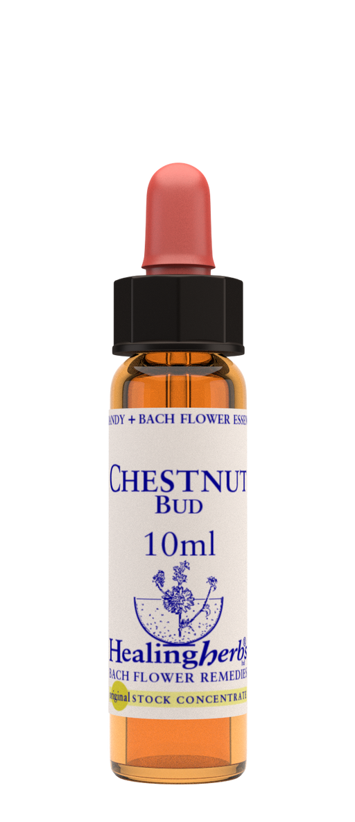 Healing Herbs Ltd Chestnut Bud 10ml - Dennis the Chemist