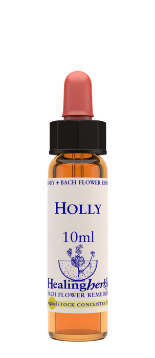 Healing Herbs Ltd Holly 10ml - Dennis the Chemist