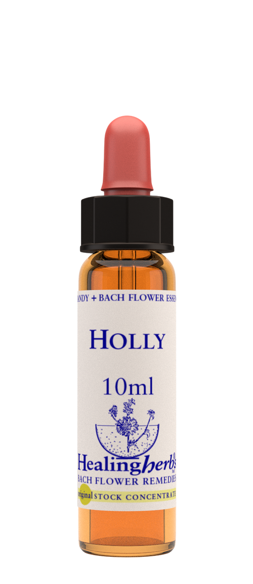 Healing Herbs Ltd Holly 10ml - Dennis the Chemist