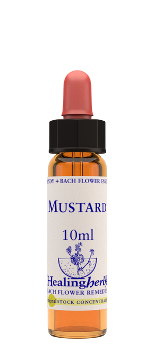 Healing Herbs Ltd Mustard 10ml - Dennis the Chemist
