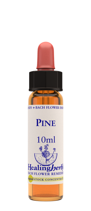 Healing Herbs Ltd Pine 10ml - Dennis the Chemist