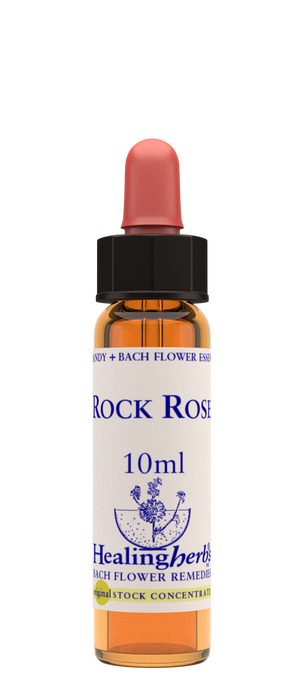 Healing Herbs Ltd Rock Rose 10ml - Dennis the Chemist