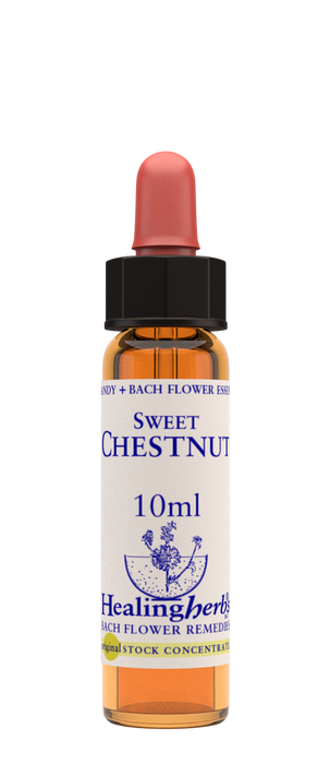 Healing Herbs Ltd Sweet Chestnut 10ml - Dennis the Chemist