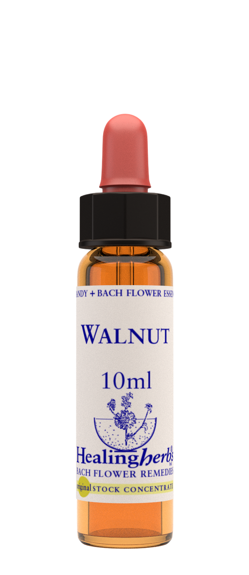 Healing Herbs Ltd Walnut 10ml - Dennis the Chemist